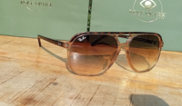  Ray-Ban RB2198 Bill Havana