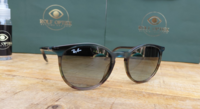 Ray-Ban RB2204 1394/GK