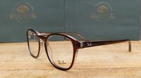 Ray-Ban RB 5417 8365 &ndash; Tijdloos &amp; Elegant