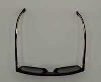 CARRERA 1061/S Gepolariseerd