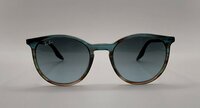 Ray-Ban RB2204 1384/GK